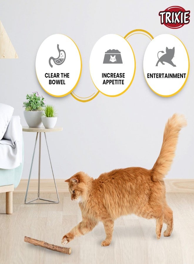 TRIXIE: - Matatabi Chewing Stick | Interactive Cat Toy, Attracts and Stimulates Cats Hunting Instincts | Made with Dried Matatabi Fruits, Supports Dental Hygiene and Cleans Teeth - 10 Gm - Image 3